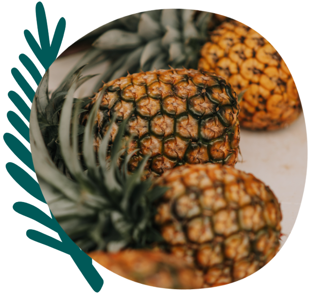 Pineapple close-up